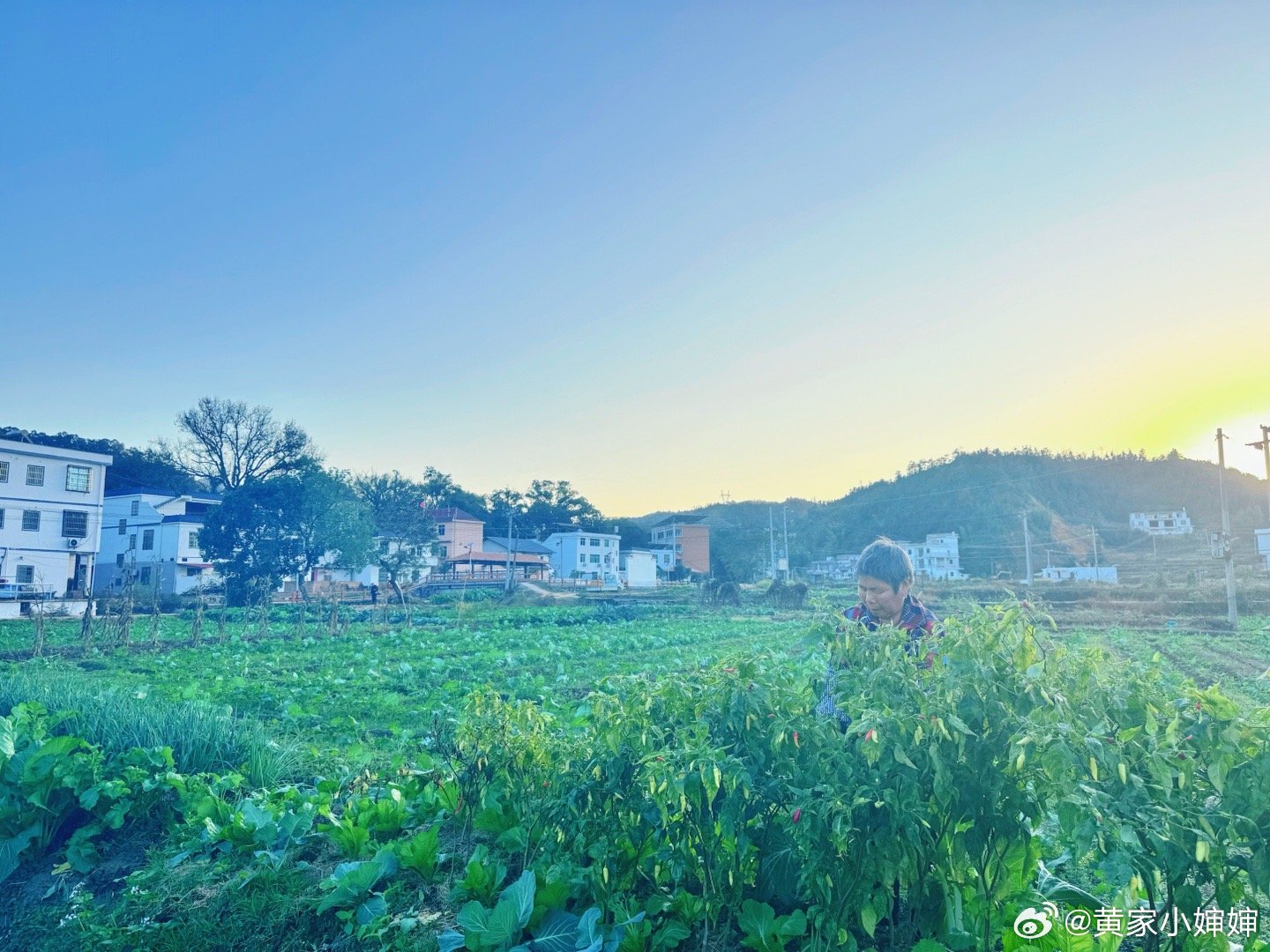 农村365个视频,记录乡村生活的多彩画卷 农村365个视频,记录乡村生活的多彩画卷